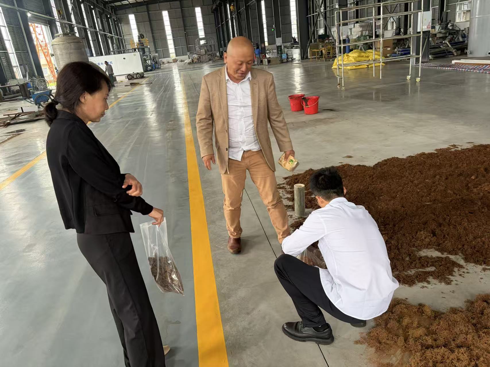 生物质原料检测