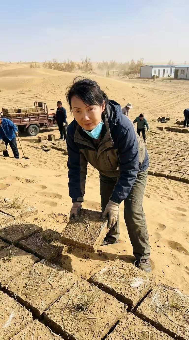 沙漠治理与生物质砖铺设